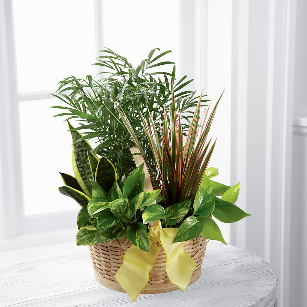 French Garden – GARRISON DESIGNS FLORIST & INTERIORS, Huntington WV