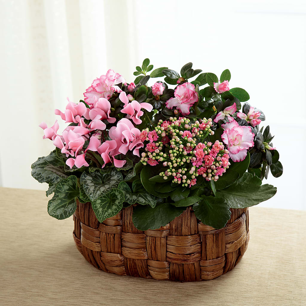 Pink Assortment – GARRISON DESIGNS FLORIST & INTERIORS, Huntington WV