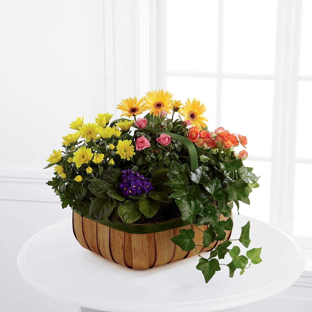 Gentle Blossoms Basket – GARRISON DESIGNS FLORIST & INTERIORS, Huntington WV