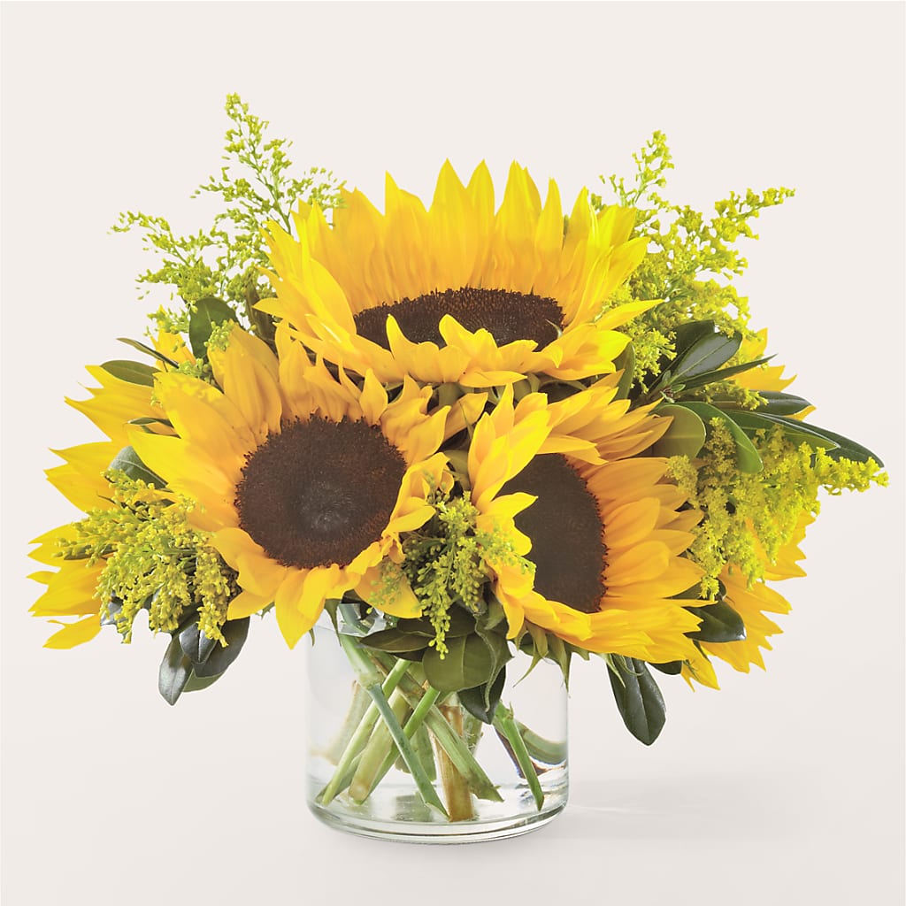 Beaming Sunflower Bouquet – GARRISON DESIGNS FLORIST & INTERIORS, Huntington WV