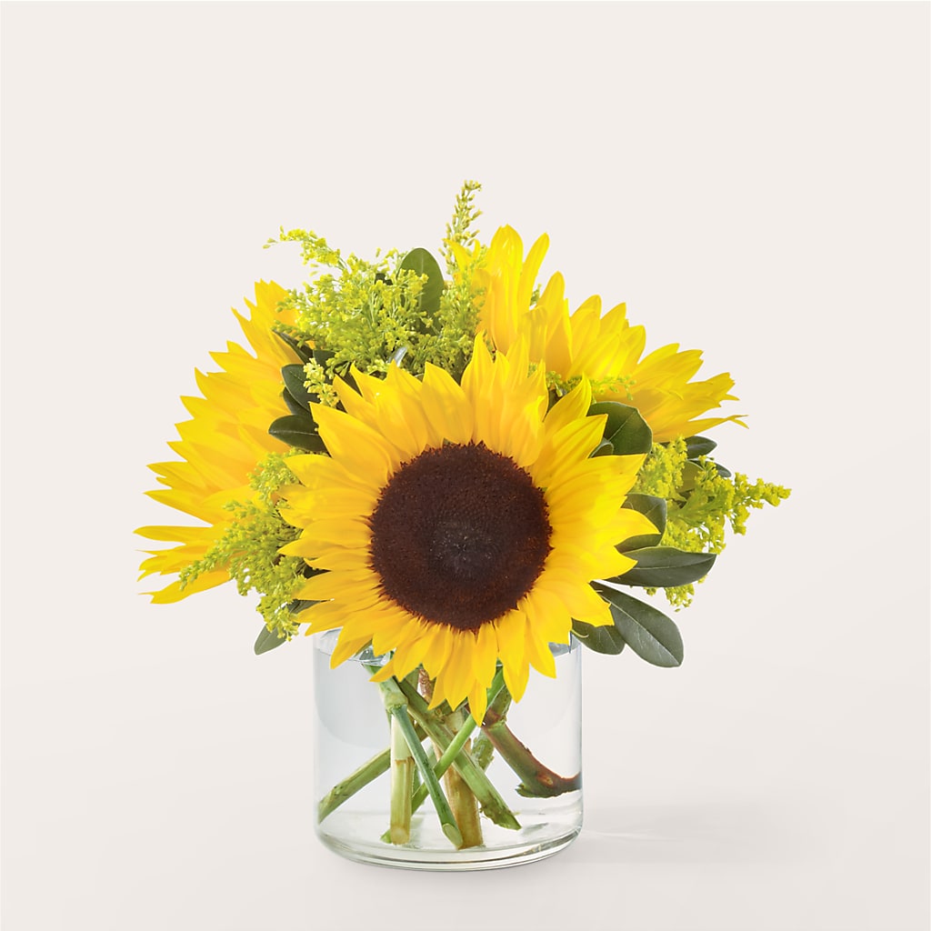 Beaming Sunflower Bouquet – GARRISON DESIGNS FLORIST & INTERIORS, Huntington WV