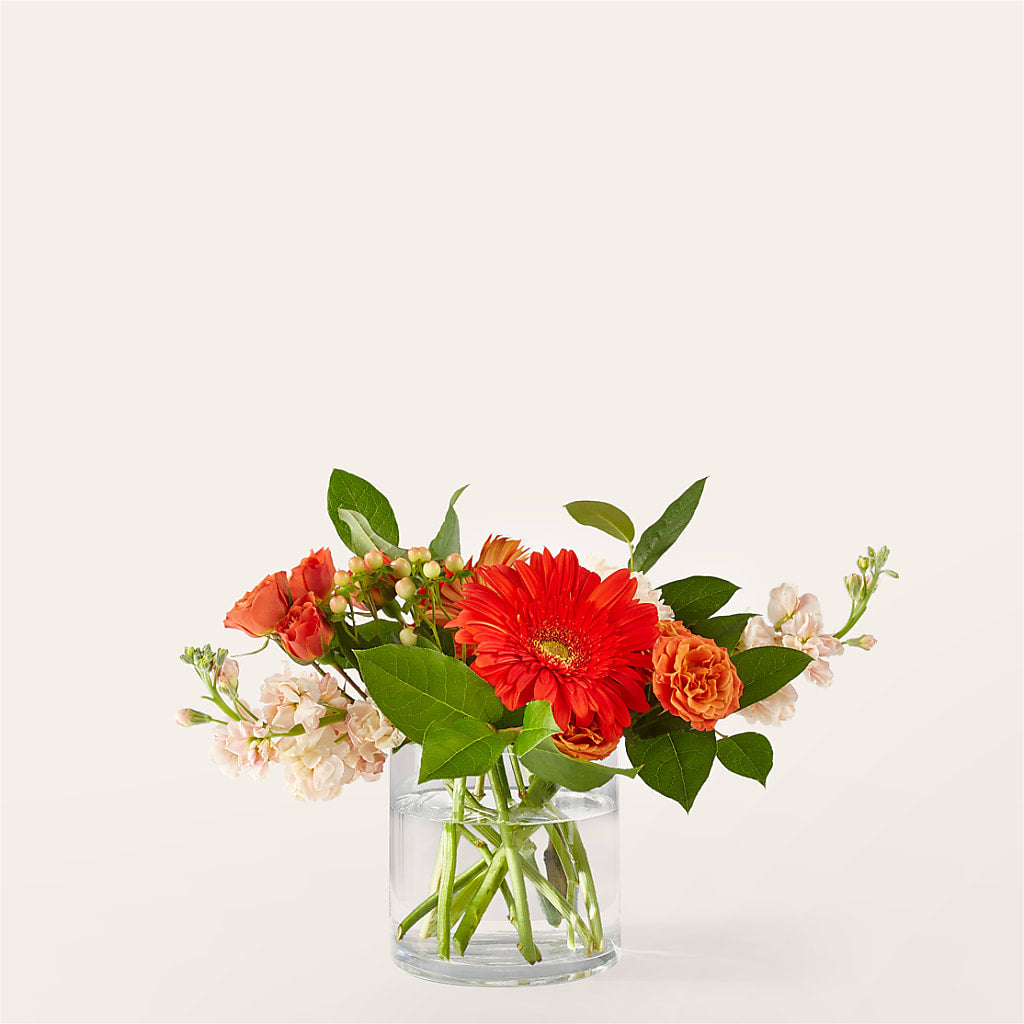 Paloma Please Bouquet – GARRISON DESIGNS FLORIST & INTERIORS, Huntington WV