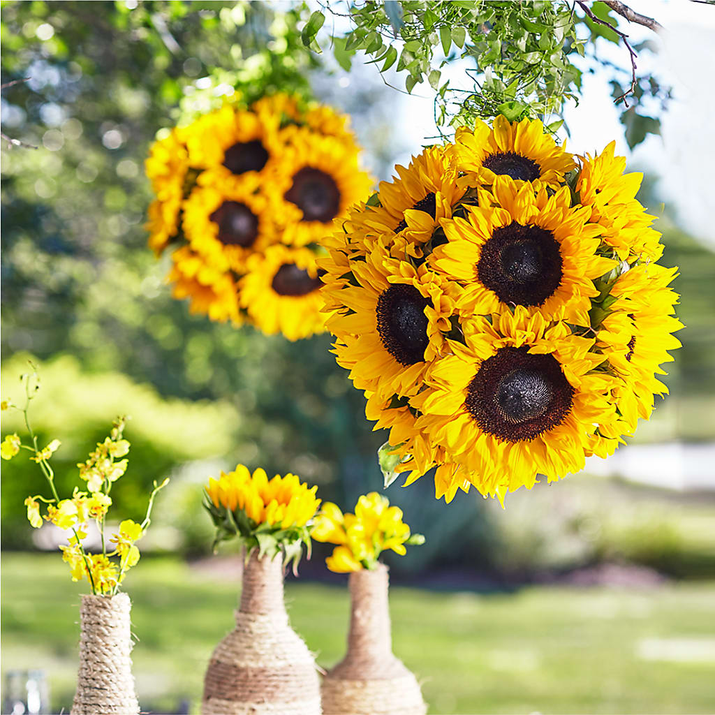 Sublime Garden Hanging Arrangement – GARRISON DESIGNS FLORIST & INTERIORS, Huntington WV