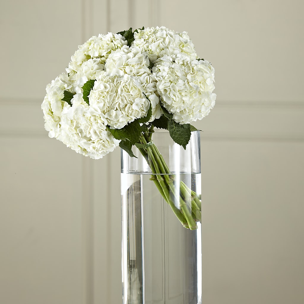White Hydrangea Hand-Tied Bouquet – GARRISON DESIGNS FLORIST & INTERIORS, Huntington WV