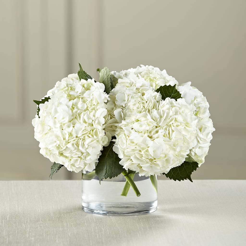 White Hydrangea Bouquet – GARRISON DESIGNS FLORIST & INTERIORS, Huntington WV