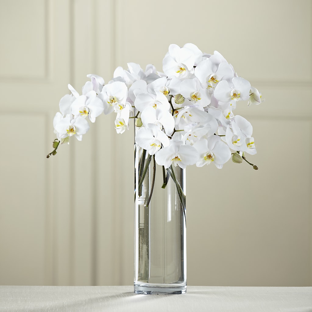 White Phalaenopsis Bouquet – GARRISON DESIGNS FLORIST & INTERIORS, Huntington WV