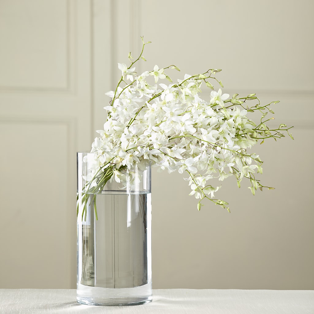 White Dendrobium Bouquet – GARRISON DESIGNS FLORIST & INTERIORS, Huntington WV