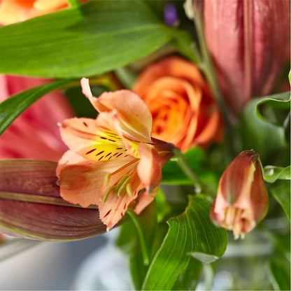Bold & Bright – A Florist Original – GARRISON DESIGNS FLORIST & INTERIORS, Huntington WV
