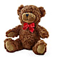 Adorable Plush Bear – GARRISON DESIGNS FLORIST & INTERIORS, Huntington WV