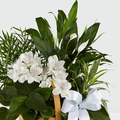 Peace & Serenity Dishgarden – GARRISON DESIGNS FLORIST & INTERIORS, Huntington WV