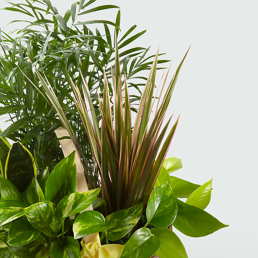 French Garden – GARRISON DESIGNS FLORIST & INTERIORS, Huntington WV
