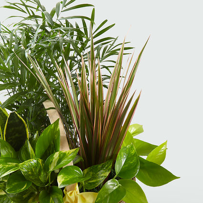 French Garden – GARRISON DESIGNS FLORIST & INTERIORS, Huntington WV