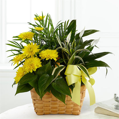 Loving Light Dishgarden – GARRISON DESIGNS FLORIST & INTERIORS, Huntington WV