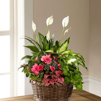 Dream in Pink Dishgarden – GARRISON DESIGNS FLORIST & INTERIORS, Huntington WV