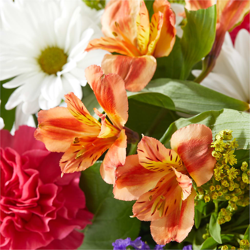 Oopsie Daisy Box Bouquet – GARRISON DESIGNS FLORIST & INTERIORS, Huntington WV