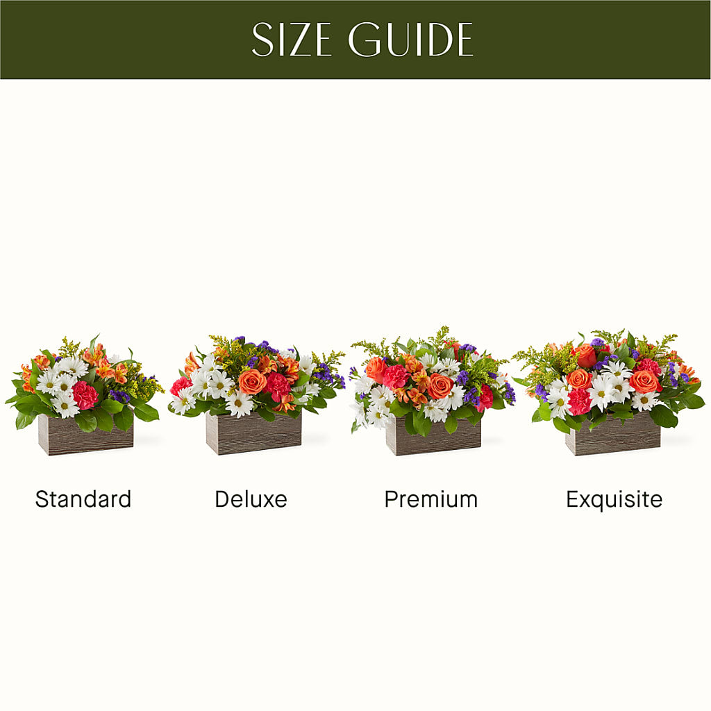 Oopsie Daisy Box Bouquet – GARRISON DESIGNS FLORIST & INTERIORS, Huntington WV