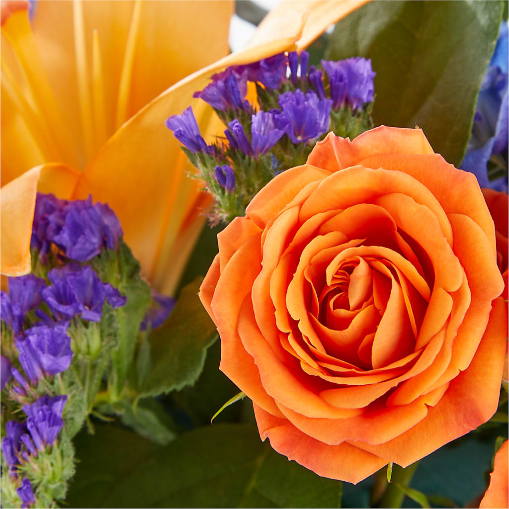 Radiant Citrus Box Bouquet – GARRISON DESIGNS FLORIST & INTERIORS, Huntington WV
