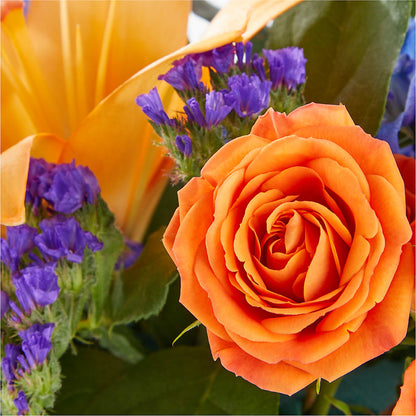 Radiant Citrus Box Bouquet – GARRISON DESIGNS FLORIST & INTERIORS, Huntington WV