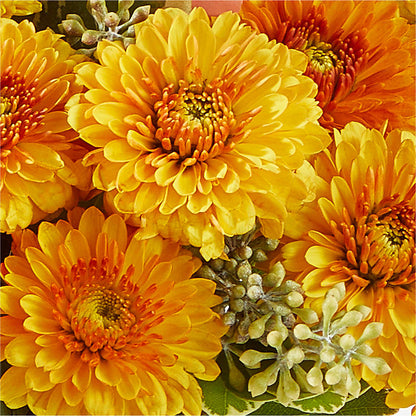 Peachy Pumpkin – GARRISON DESIGNS FLORIST & INTERIORS, Huntington WV