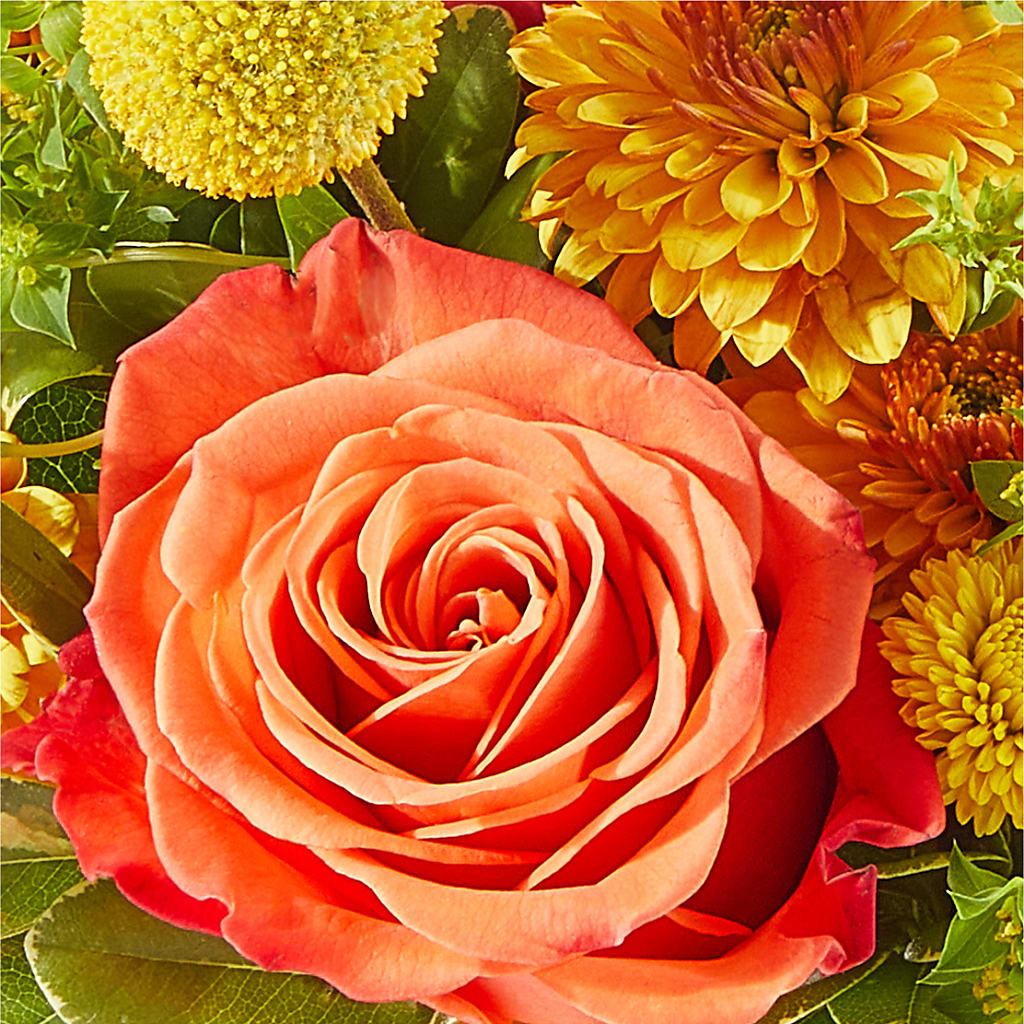 Gourdgeous Pumpkin – GARRISON DESIGNS FLORIST & INTERIORS, Huntington WV
