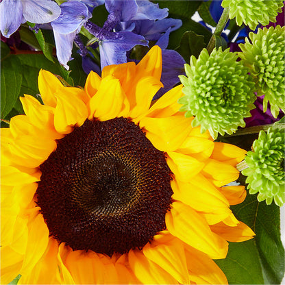 Catching Rays Bouquet – GARRISON DESIGNS FLORIST & INTERIORS, Huntington WV