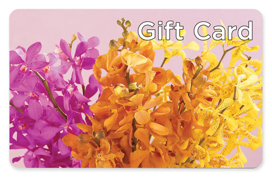 Gift Card – GARRISON DESIGNS FLORIST & INTERIORS, Huntington WV