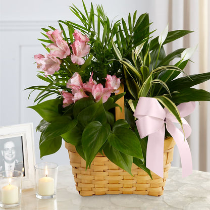 Living Spirit Dishgarden – GARRISON DESIGNS FLORIST & INTERIORS, Huntington WV