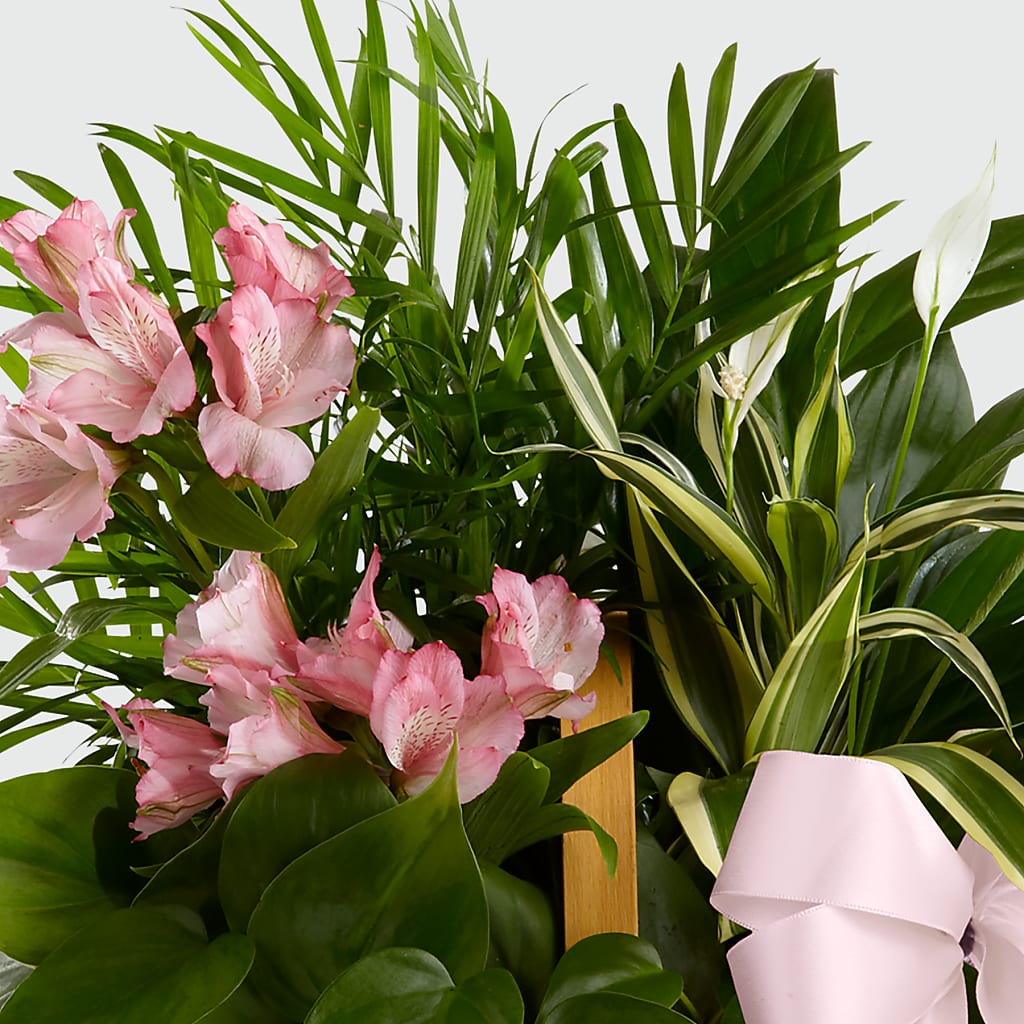 Living Spirit Dishgarden – GARRISON DESIGNS FLORIST & INTERIORS, Huntington WV