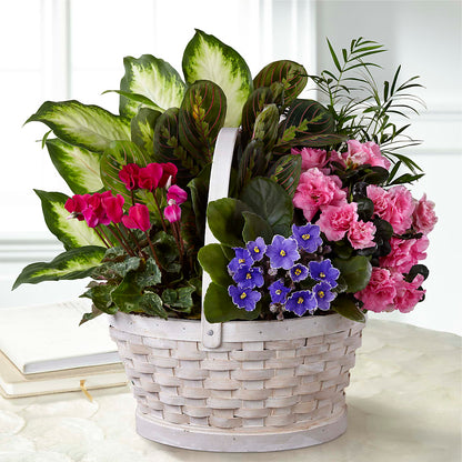 Peaceful Garden Planter – GARRISON DESIGNS FLORIST & INTERIORS, Huntington WV