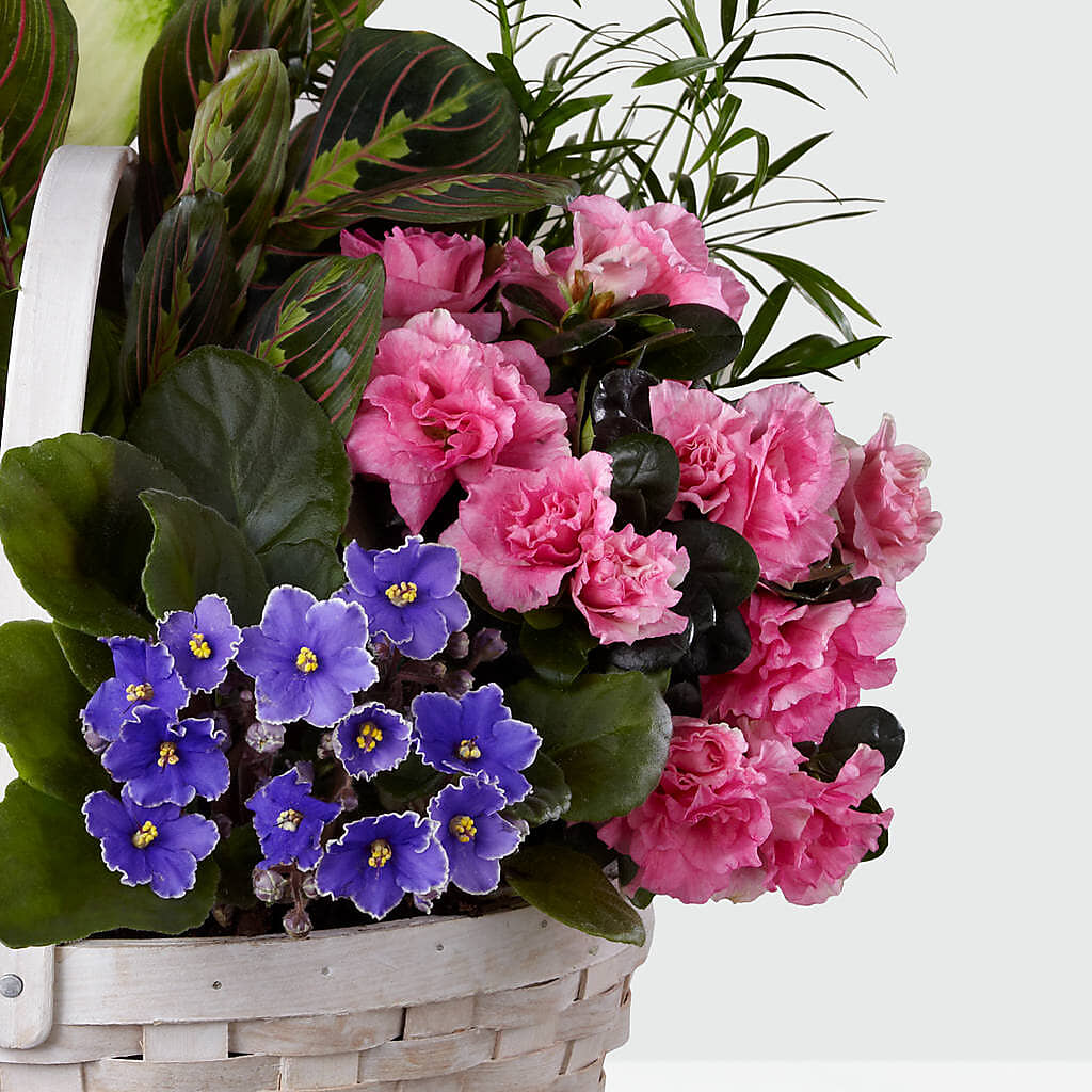 Peaceful Garden Planter – GARRISON DESIGNS FLORIST & INTERIORS, Huntington WV
