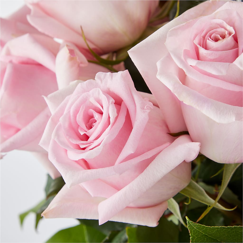 Picture Perfect Pink Rose Bouquet – GARRISON DESIGNS FLORIST & INTERIORS, Huntington WV