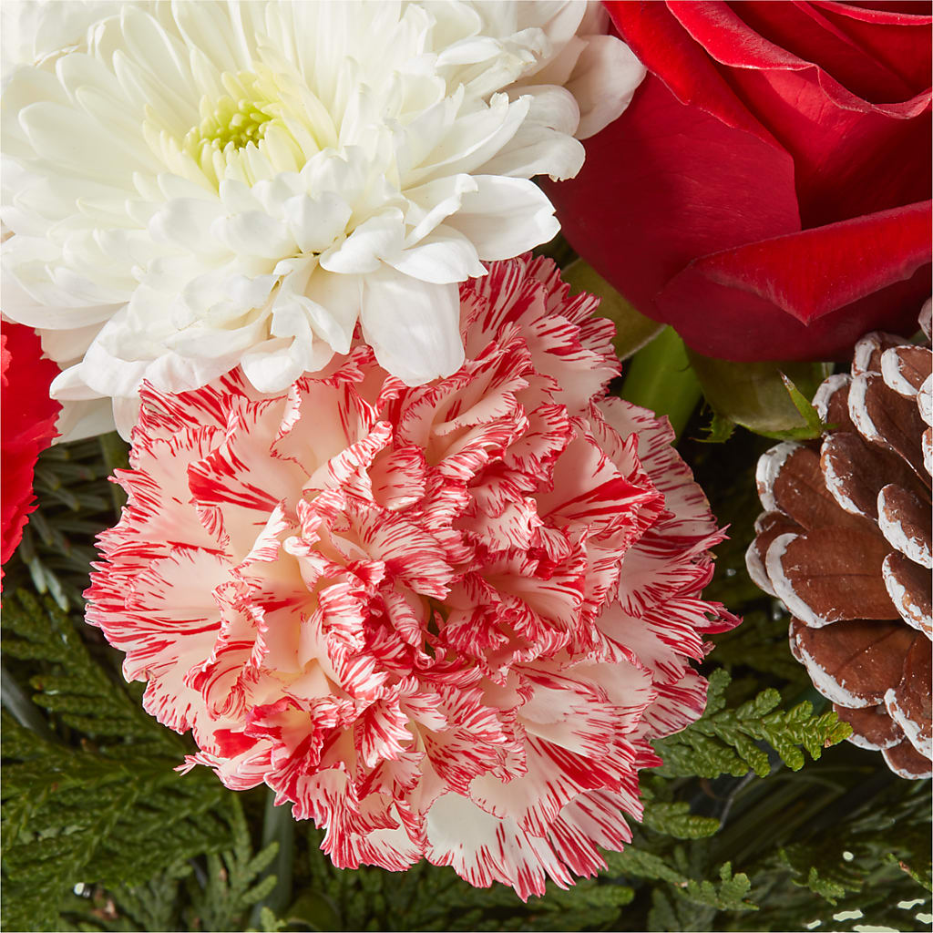 Candy Cane Lane Bouquet – GARRISON DESIGNS FLORIST & INTERIORS, Huntington WV