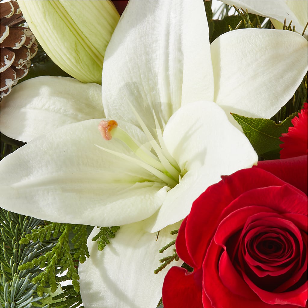 Oh So Jolly Bouquet – GARRISON DESIGNS FLORIST & INTERIORS, Huntington WV