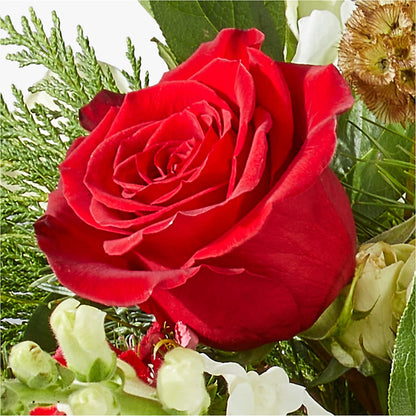Deck the Halls Bouquet – GARRISON DESIGNS FLORIST & INTERIORS, Huntington WV