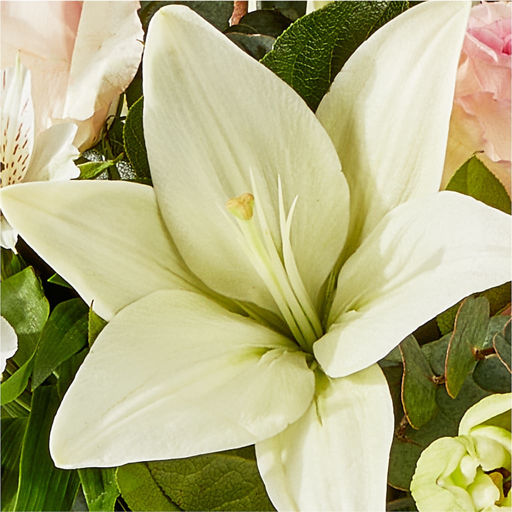 Ballet Slippers Bouquet – GARRISON DESIGNS FLORIST & INTERIORS, Huntington WV