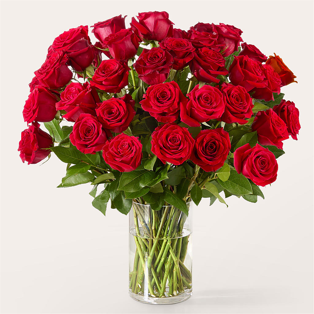 The One Red Rose Bouquet – GARRISON DESIGNS FLORIST & INTERIORS, Huntington WV