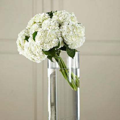 White Hydrangea Hand-Tied Bouquet – GARRISON DESIGNS FLORIST & INTERIORS, Huntington WV