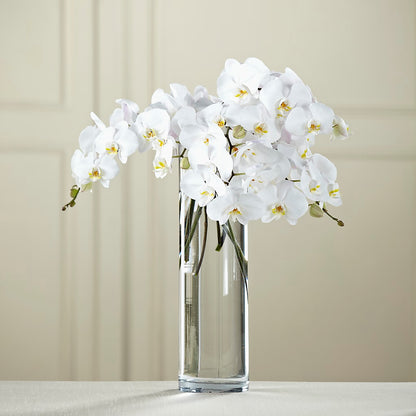 White Phalaenopsis Bouquet – GARRISON DESIGNS FLORIST & INTERIORS, Huntington WV